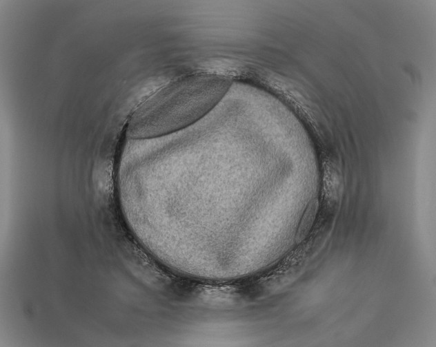 X0000113070403200909250933