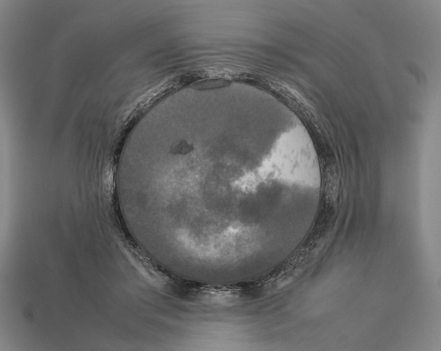 X0000113070405200909250933