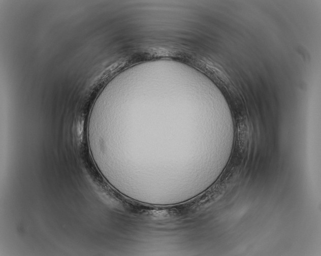 X0000113070406200909250933
