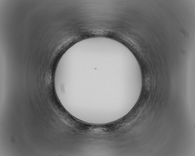 X0000113070407200909250933