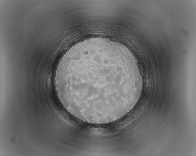 X0000113070408200909250933