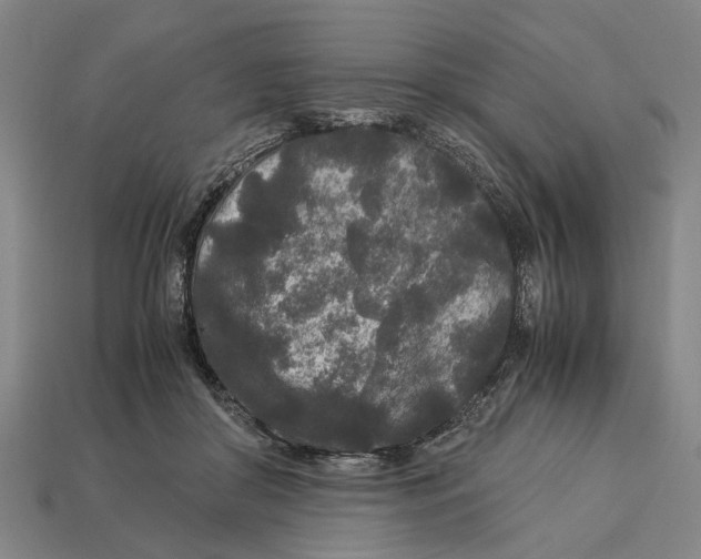 X0000113070410200909250933