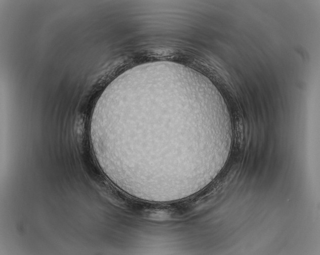 X0000113070412200909250933