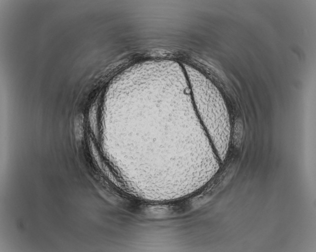 X0000113070413200909250933