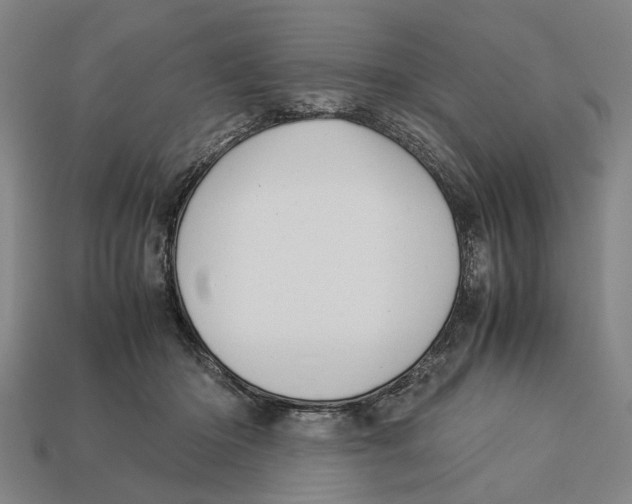 X0000113070414200909250933