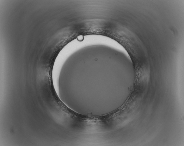 X0000113070415200909250933