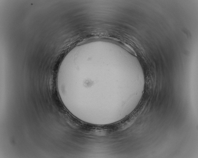 X0000113070416200909250933