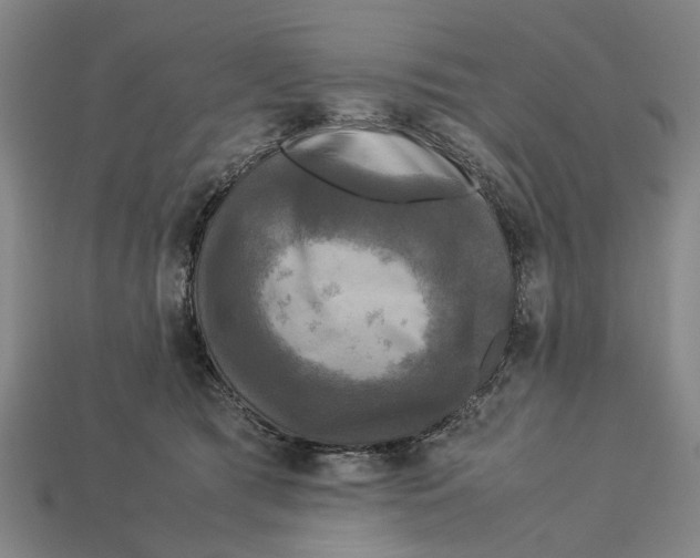 X0000113070417200909250933