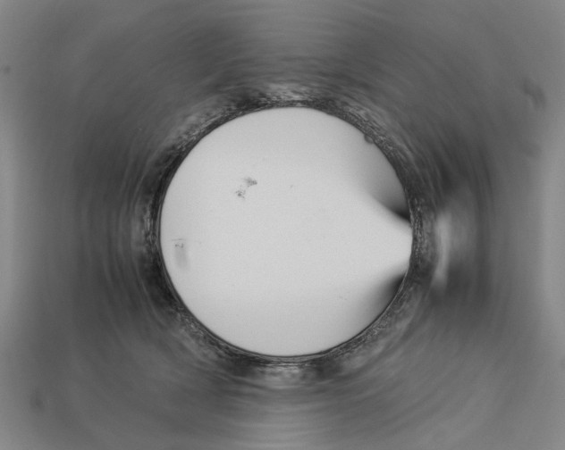X0000113070418200909250933