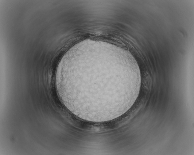 X0000113070420200909250933