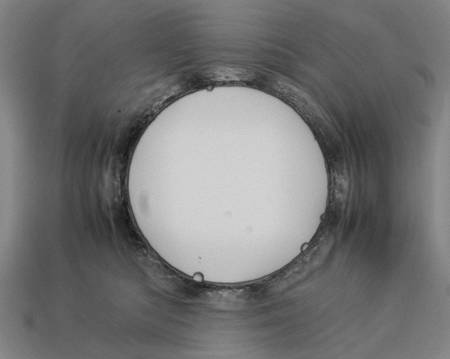 X0000113070422200909250933