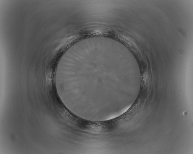 X0000113070423200909250933