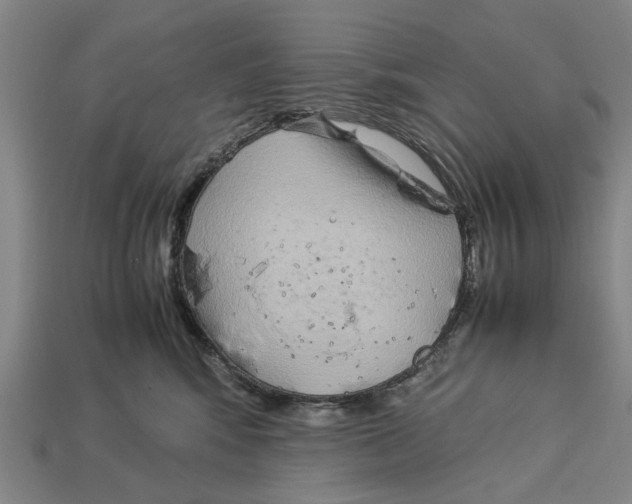 X0000113070424200909250933