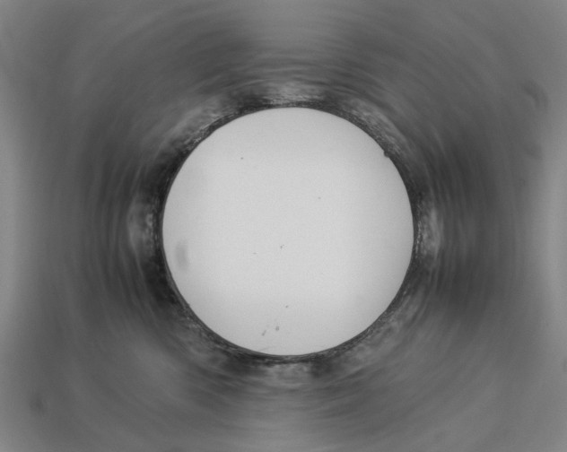 X0000113070426200909250933