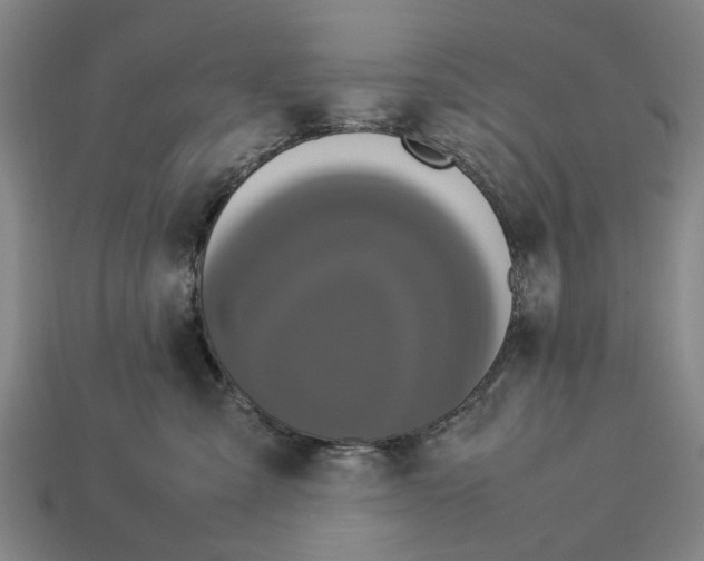 X0000113070427200909250933