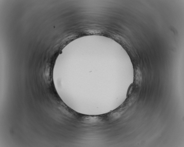 X0000113070428200909250933