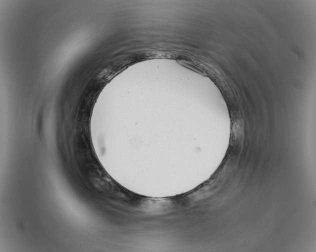 X0000113070429200909250933
