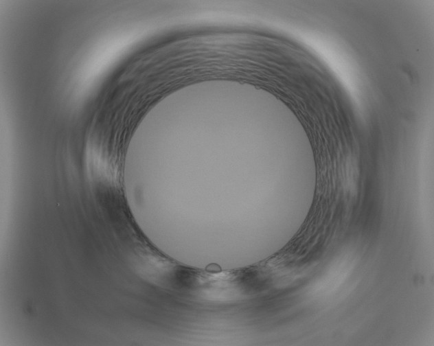 X0000113070431200909250933