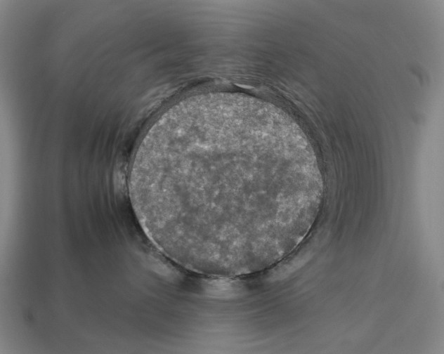 X0000113070432200909250933