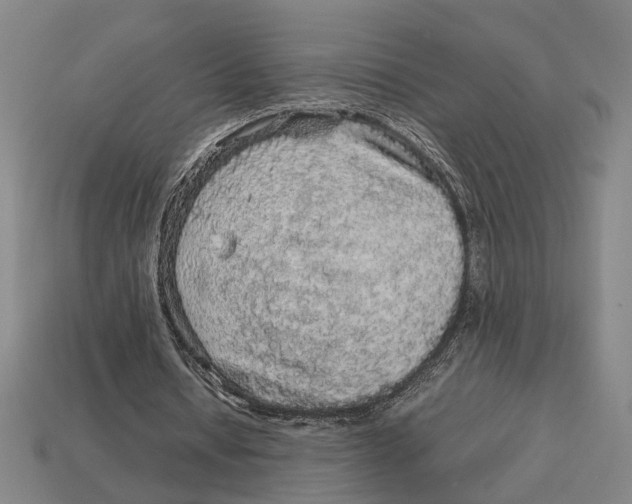 X0000113070434200909250932