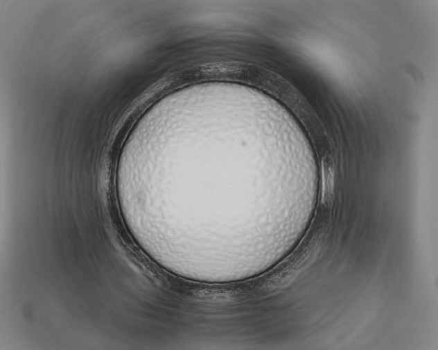 X0000113070435200909250932