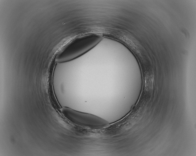 X0000113070436200909250932