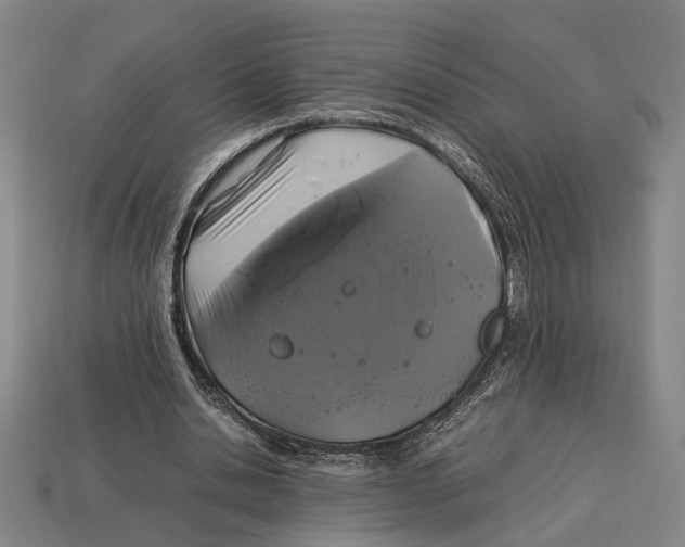 X0000113070438200909250932