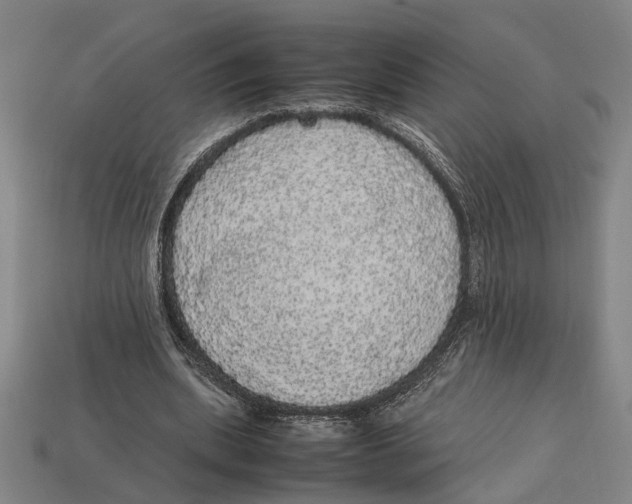 X0000113070439200909250932