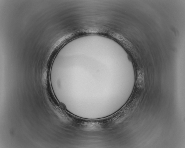 X0000113070440200909250932