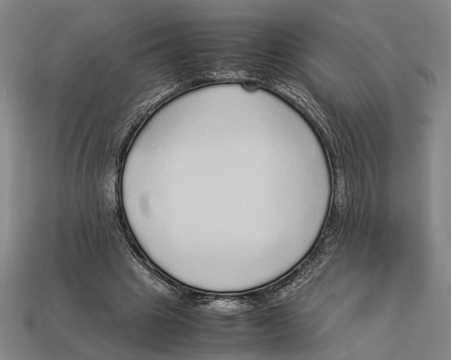 X0000113070441200909250932