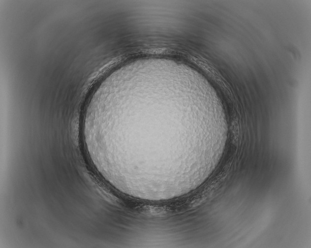 X0000113070442200909250932