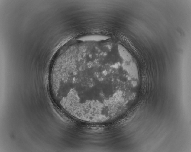 X0000113070443200909250932