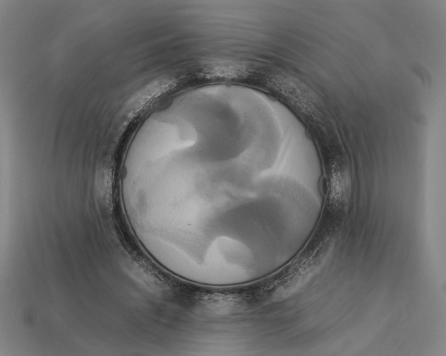 X0000113070444200909250932