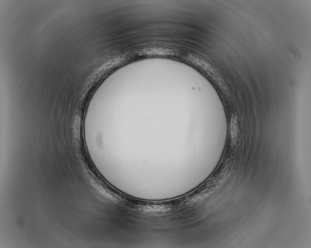 X0000113070445200909250932