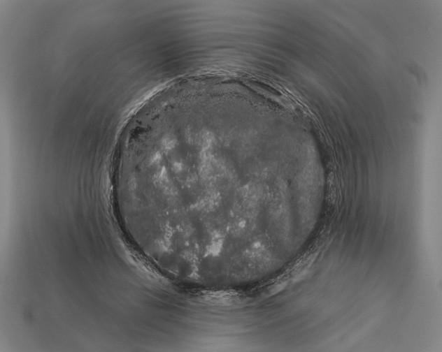 X0000113070446200909250932