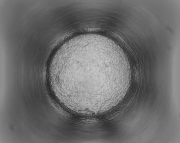 X0000113070447200909250932
