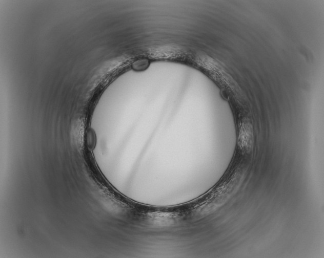 X0000113070448200909250932