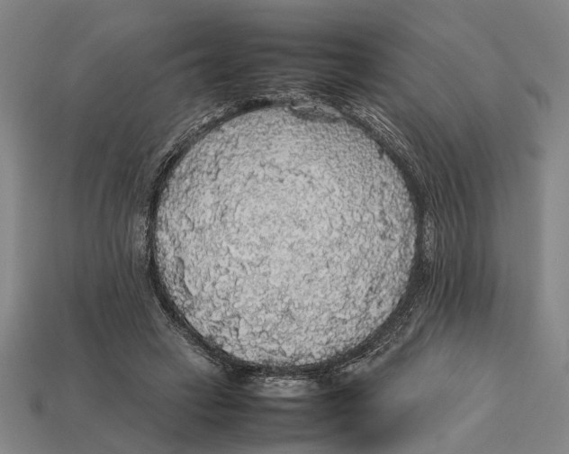 X0000113070449200909250932