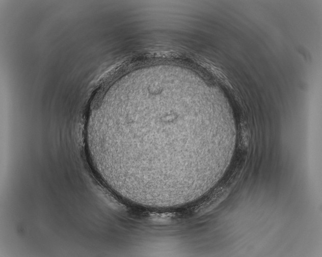 X0000113070450200909250932