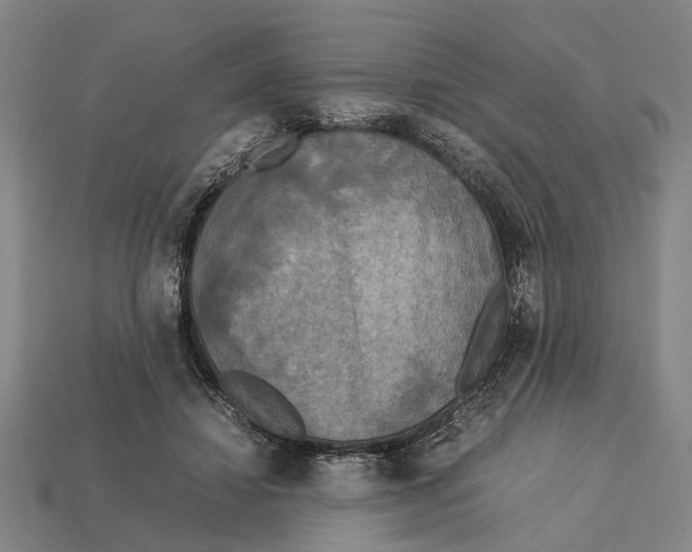 X0000113070452200909250932