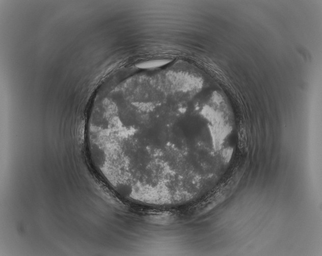 X0000113070454200909250932