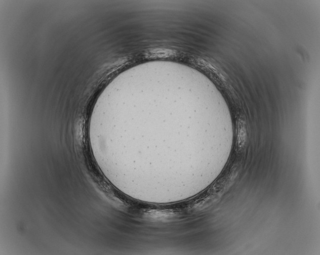 X0000113070455200909250933
