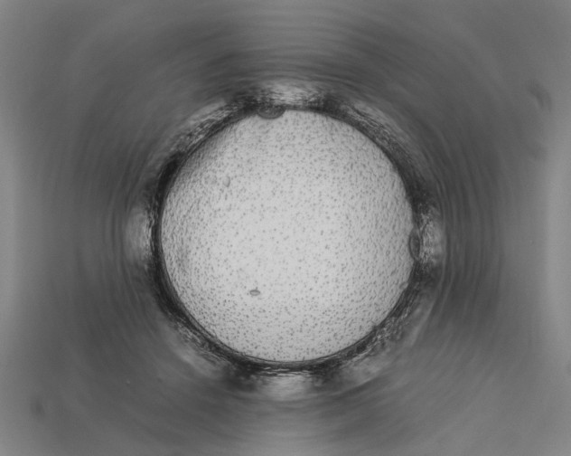 X0000113070456200909250933