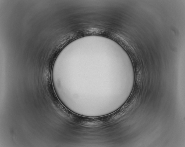 X0000113070459200909250933