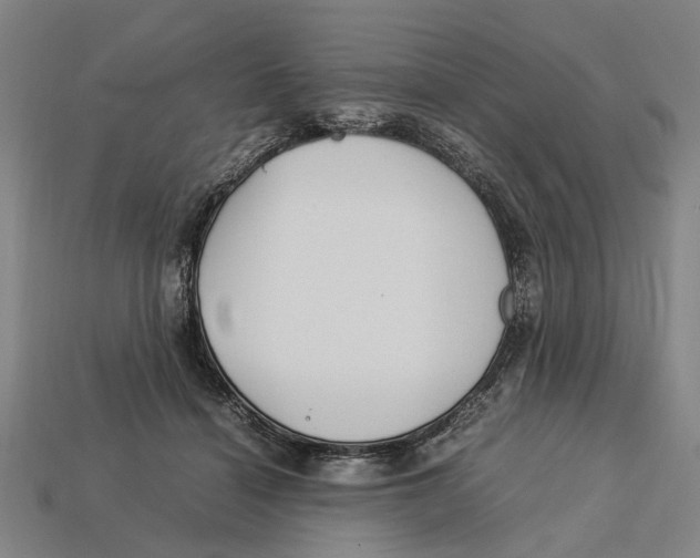 X0000113070460200909250933