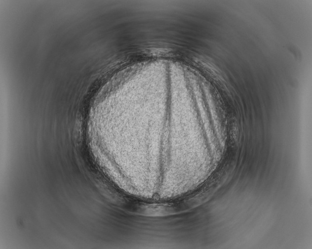 X0000113070461200909250933