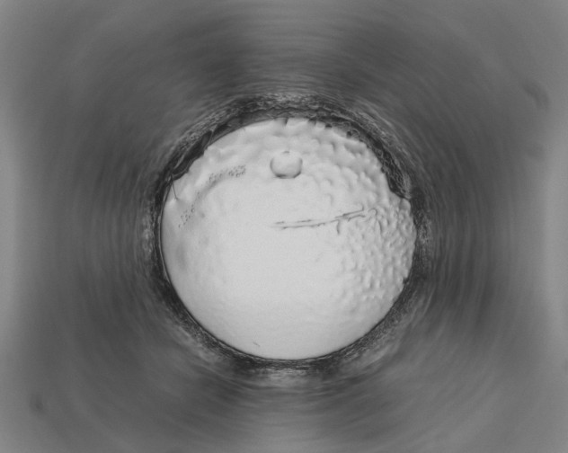 X0000113070462200909250933