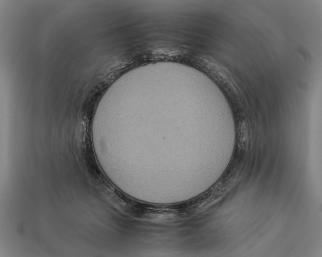 X0000113070463200909250933