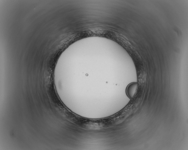 X0000113070464200909250933