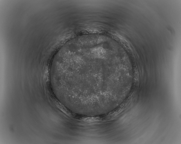 X0000113070465200909250933